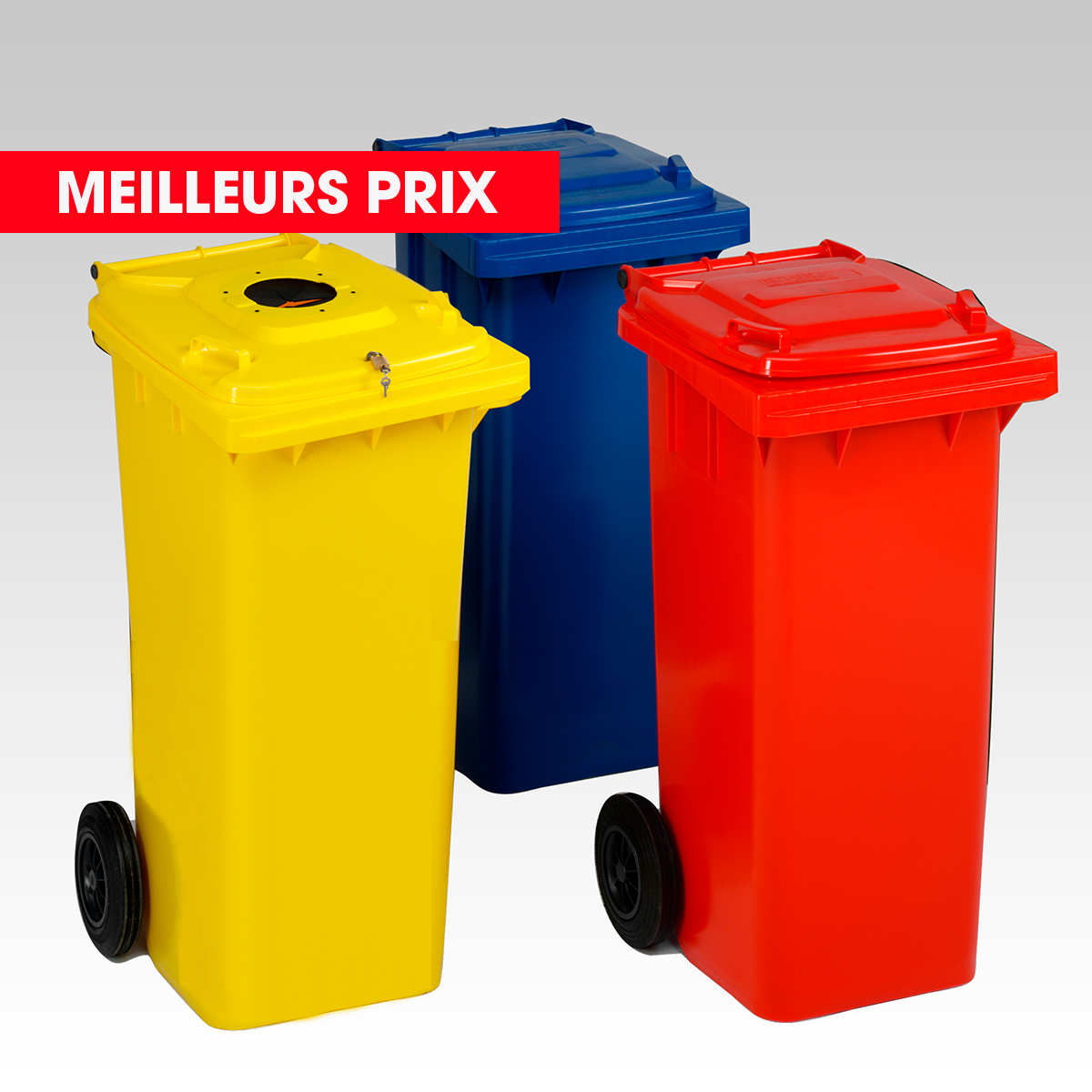 EDEN Poubelle pour la collecte des déchets municipaux, avec couvercle,100L  • Urbaniere Europe
