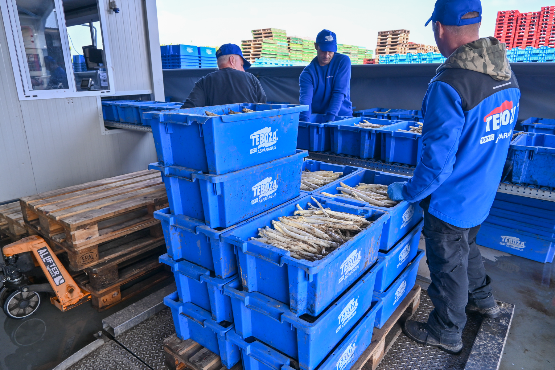 contenants pour asperges contenants pour asperges