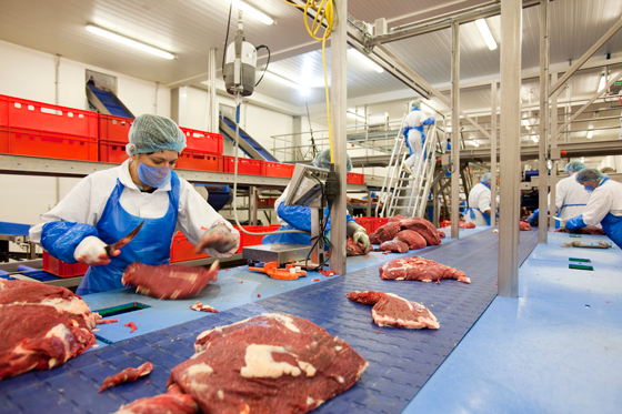 Caisses en plastique alimentaire Caisses en plastique alimentaire