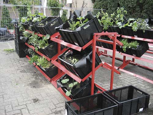 Cagettes plastiques dans une jardinerie 